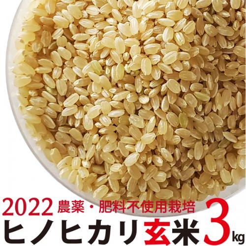 ヒノヒカリ 玄米 3kg  令和4年産　農薬・肥料不使用　香川県産