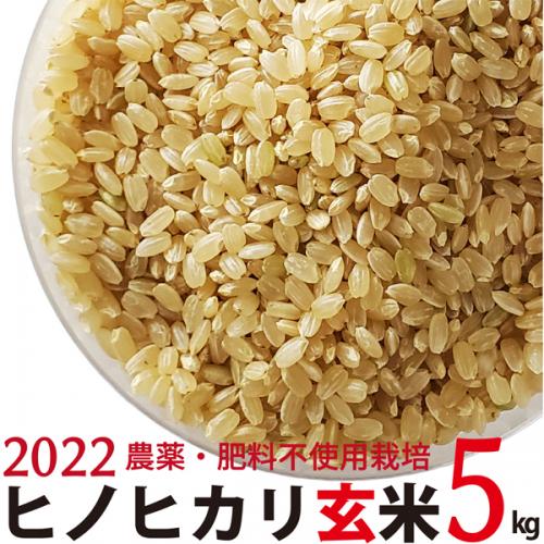 ヒノヒカリ 玄米 5kg  令和4年産　農薬・肥料不使用　香川県産