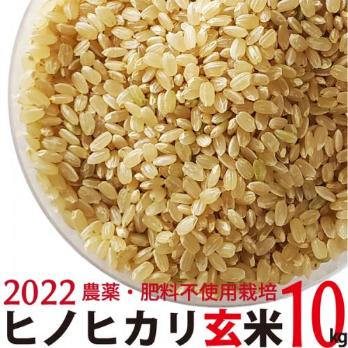 ヒノヒカリ 玄米 10kg  令和4年産　農薬・肥料不使用　香川県産