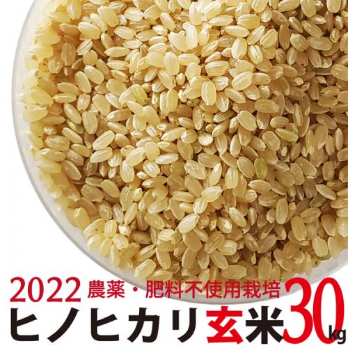 ヒノヒカリ 玄米 30kg  令和4年産　農薬・肥料不使用　香川県産