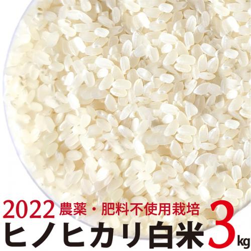 ヒノヒカリ 白米 3kg  令和4年産　農薬・肥料不使用　香川県産