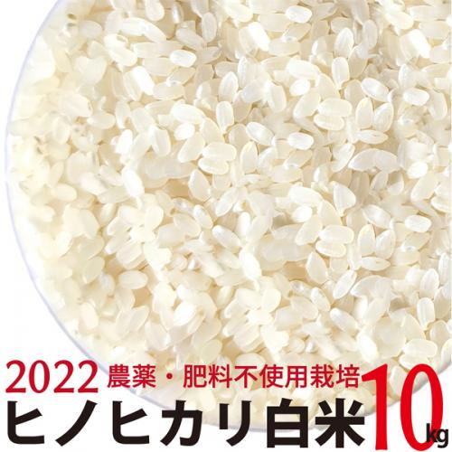 ヒノヒカリ 白米 10kg  令和4年産　農薬・肥料不使用　香川県産