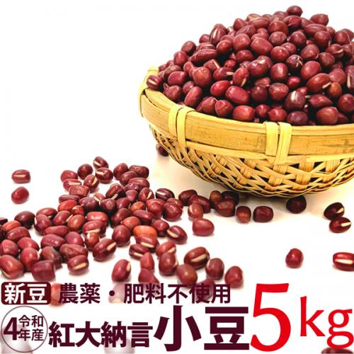 【新豆】小豆 紅大納言 5kg　農薬・肥料不使用 令和4年 青森県産