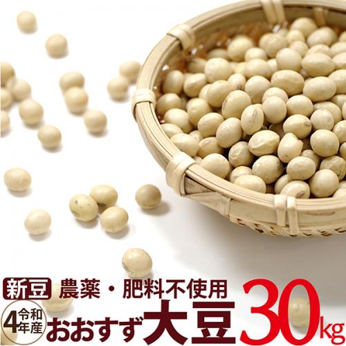 【新豆】おおすず大豆 30kg　農薬・肥料不使用 令和4年 青森県産