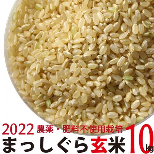 まっしぐら 玄米 10kg  令和4年産　農薬・肥料不使用　青森県産