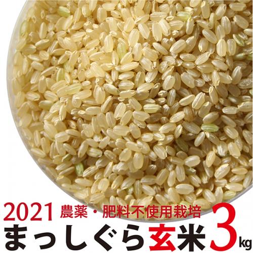 まっしぐら 玄米 3kg 令和3年産　農薬・肥料不使用　青森県産