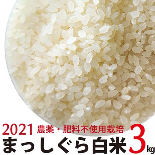 白米 まっしぐら 3kg 令和3年産 自然栽培(農薬・肥料不使用)HIRYU