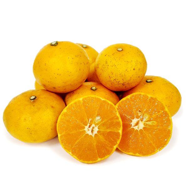 甘平 農薬・化学肥料不使用 愛媛県産