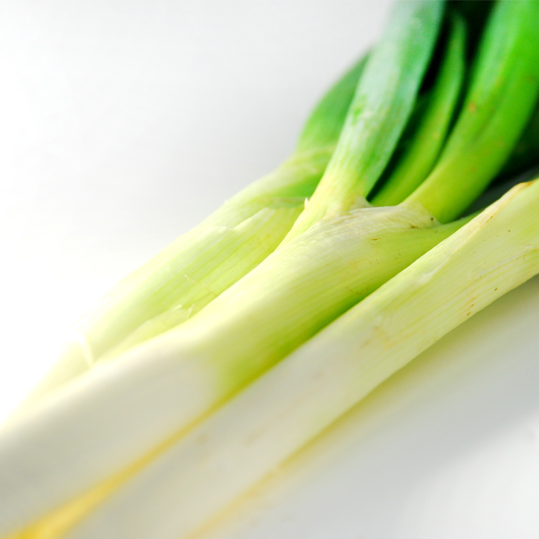 長葱 白ネギ 1袋200g 化学農薬・化学肥料不使用栽培 国産