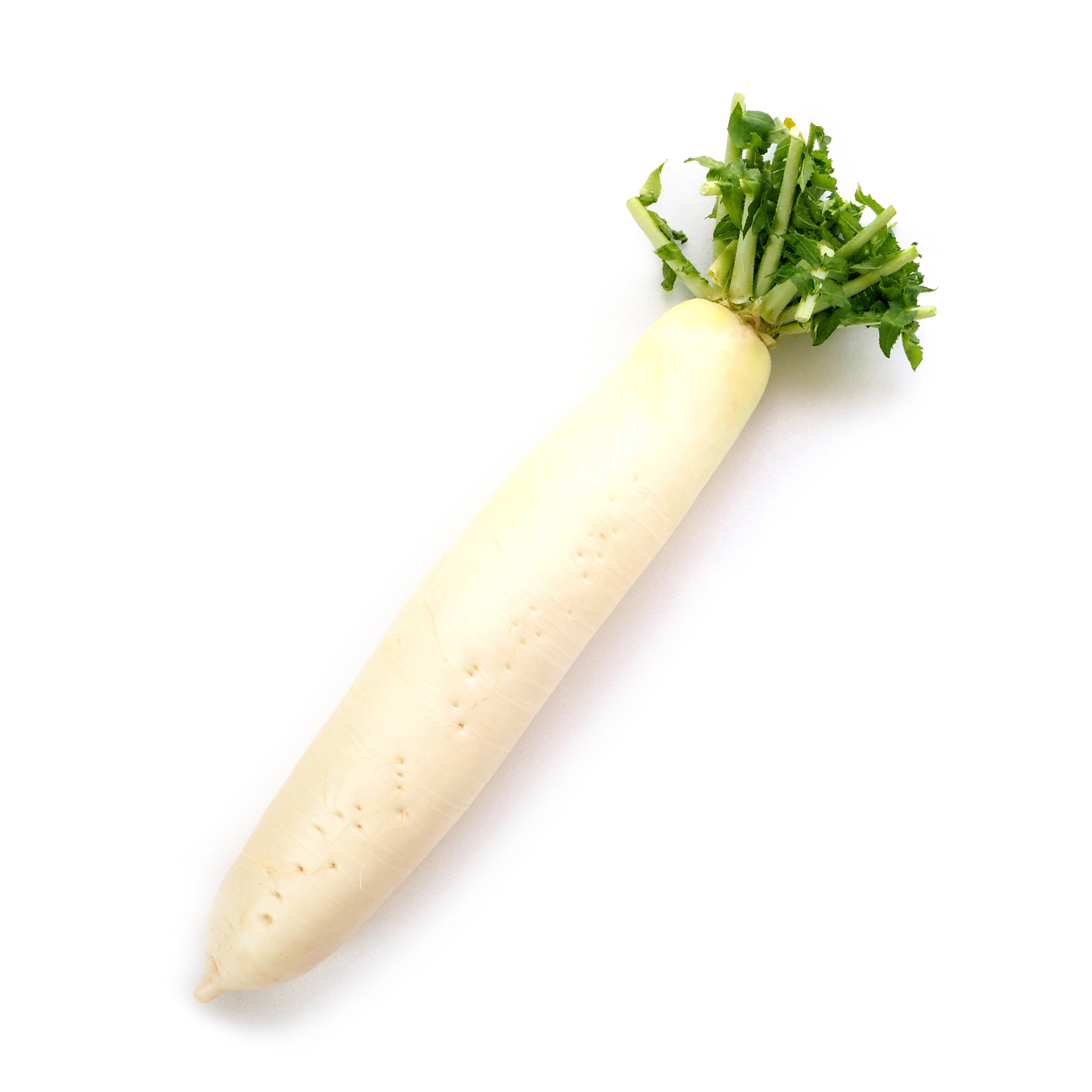 大根 化学農薬・化学肥料不使用 国産