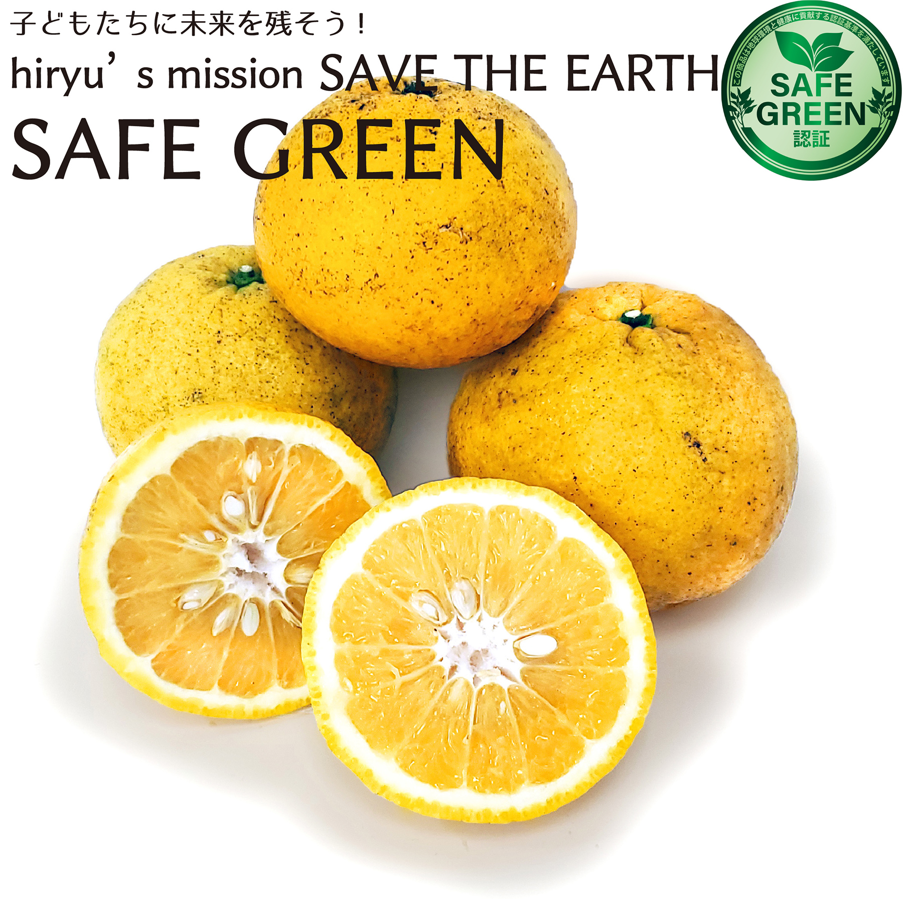 甘夏 農薬・肥料不使用 広島県産 あまなつ