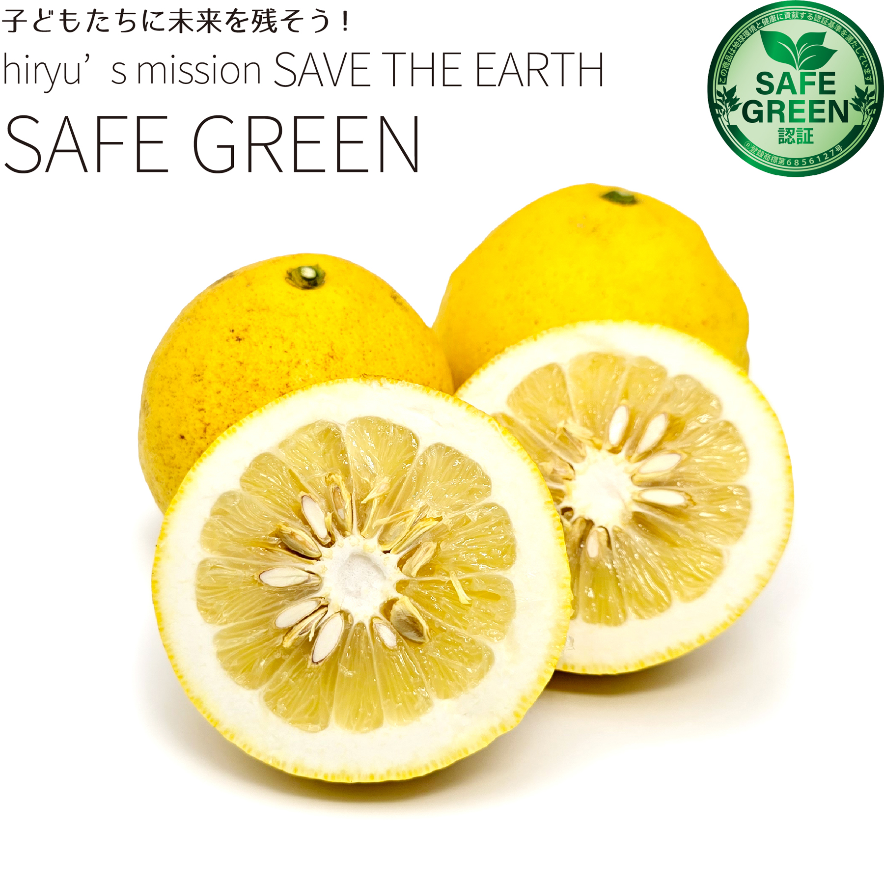 文旦 農薬・化学肥料不使用 愛媛県産 ぶんたん