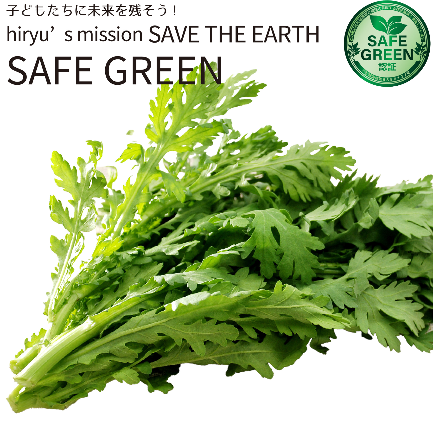 春菊 1袋100g 化学農薬・化学肥料不使用栽培 国産