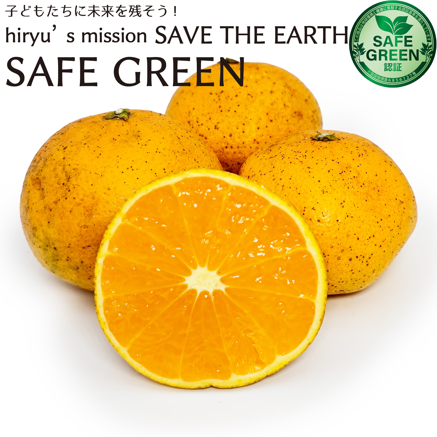 清見オレンジ 清見タンゴール 蜜柑 農薬・肥料不使用 広島県産