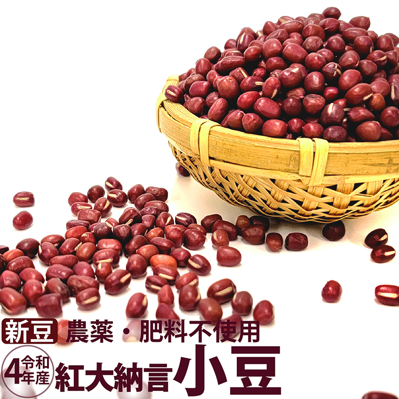 【新豆】小豆 紅大納言 農薬・肥料不使用 2022年産 青森県産