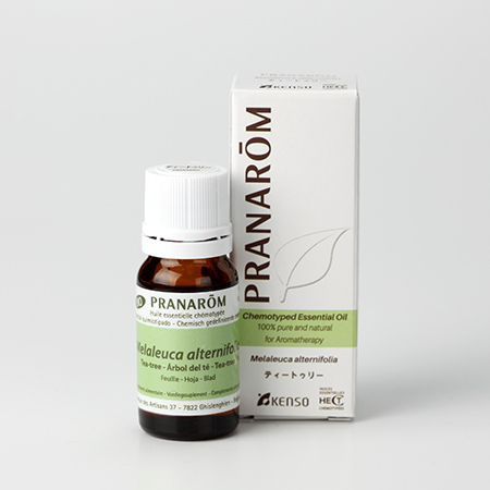 【今ならクーポン利用で10%OFF】【特典付き 】ティートゥリー(MELALEUCA ALTERNIFOLIA) 10ml (約200滴) プラナロム ケモタイプ精油 エッセンシャルオイル PRANAROM