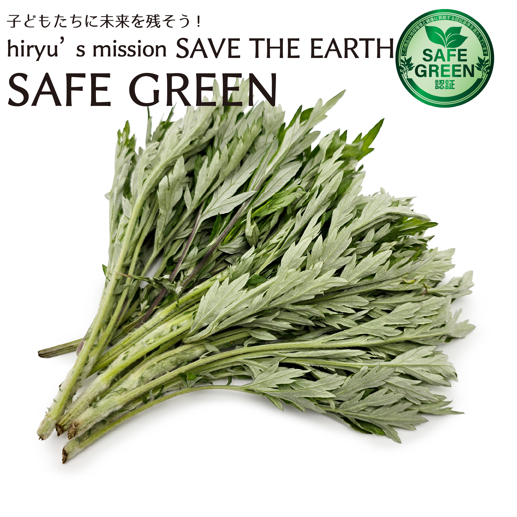 ヨモギ　よもぎ　蓬　50g　 農薬・肥料不使用　京都産