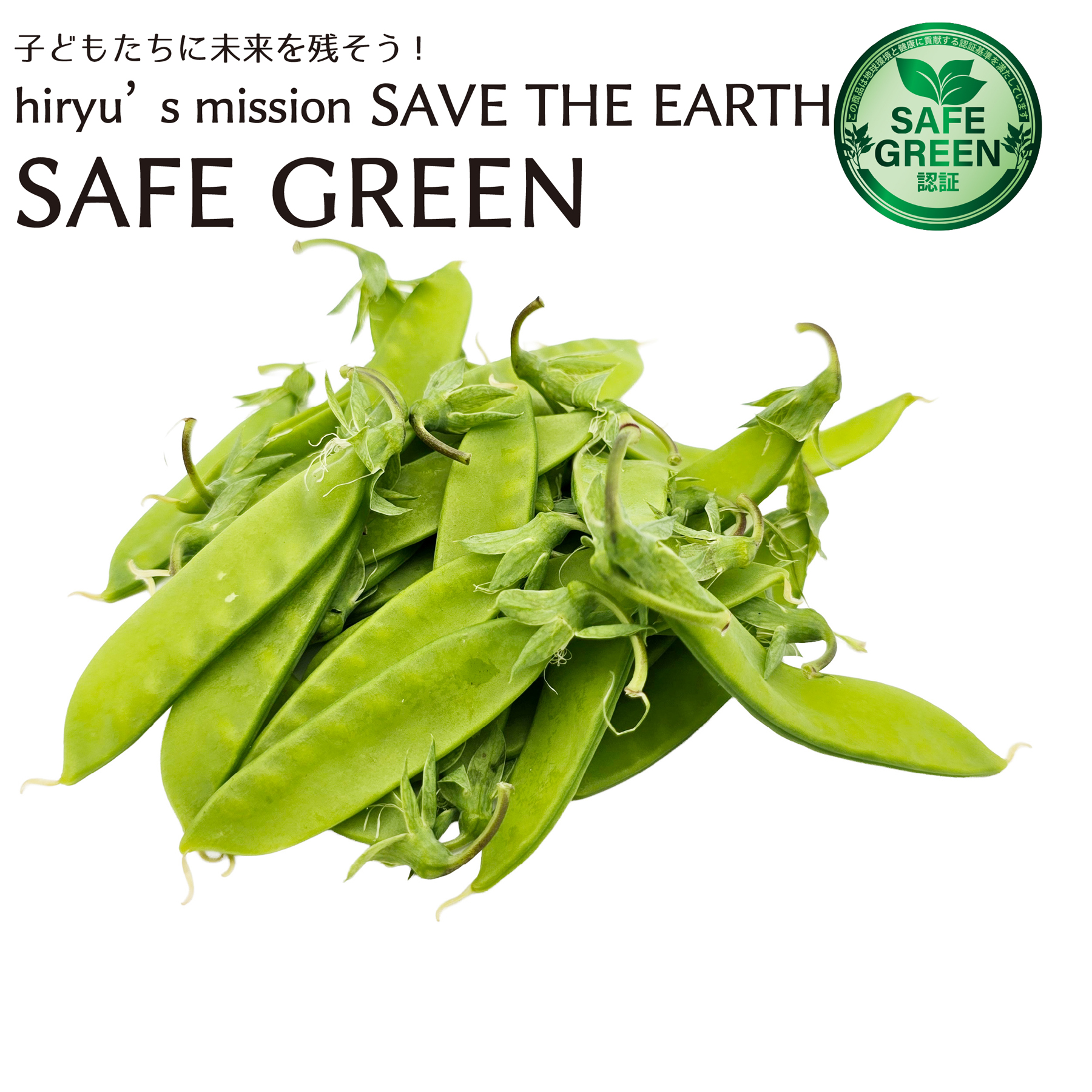 キヌサヤエンドウ　50g　 化学農薬・化学肥料不使用　国産　和歌山・大阪