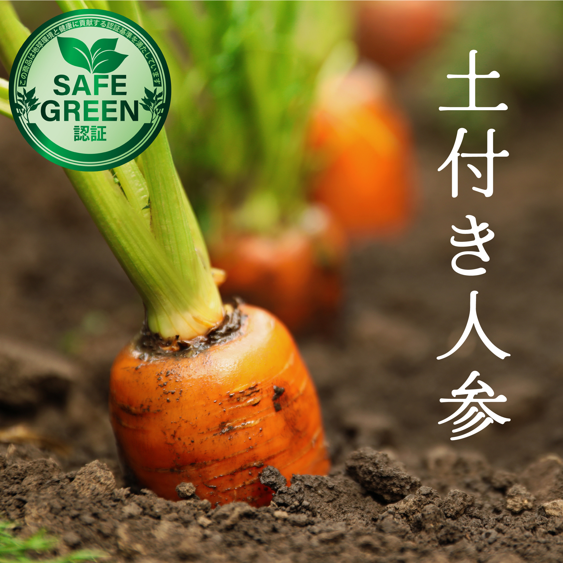 土付き人参 化学農薬・化学肥料不使用 千葉県産