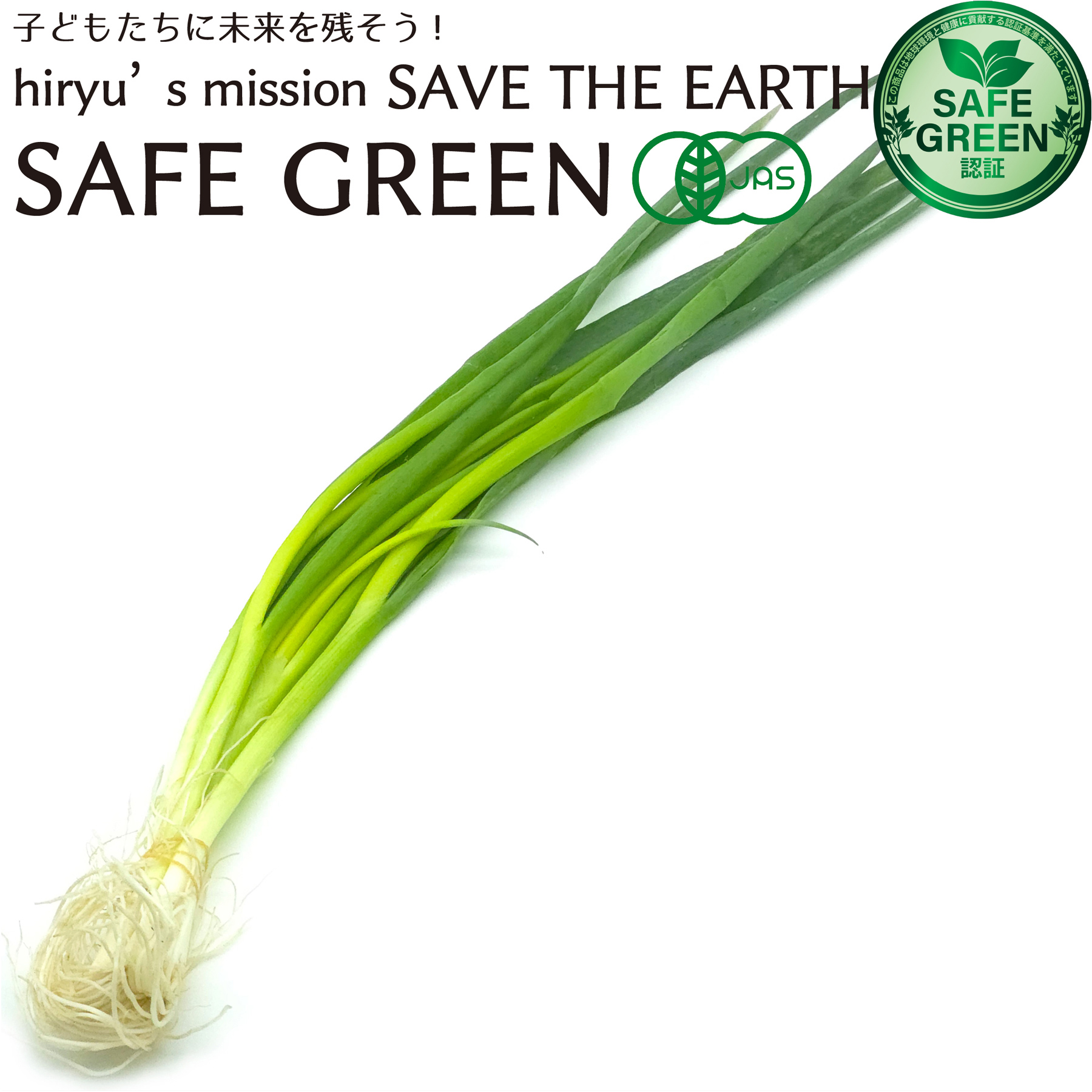 青葱（小葱） 80g 化学農薬・化学肥料不使用栽培 国産 有機JAS認証