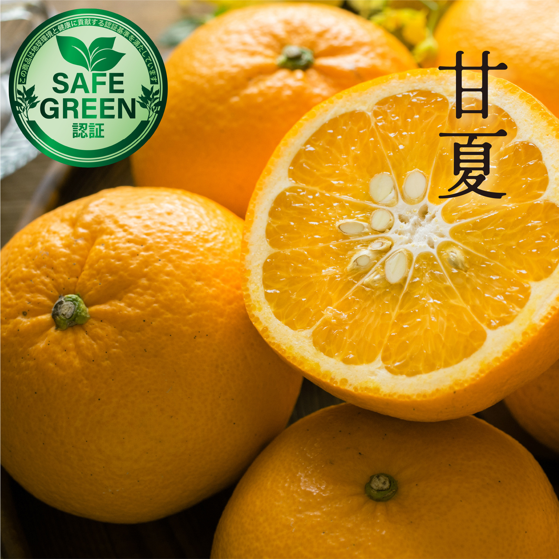 甘夏 農薬・肥料不使用 広島県産 あまなつ