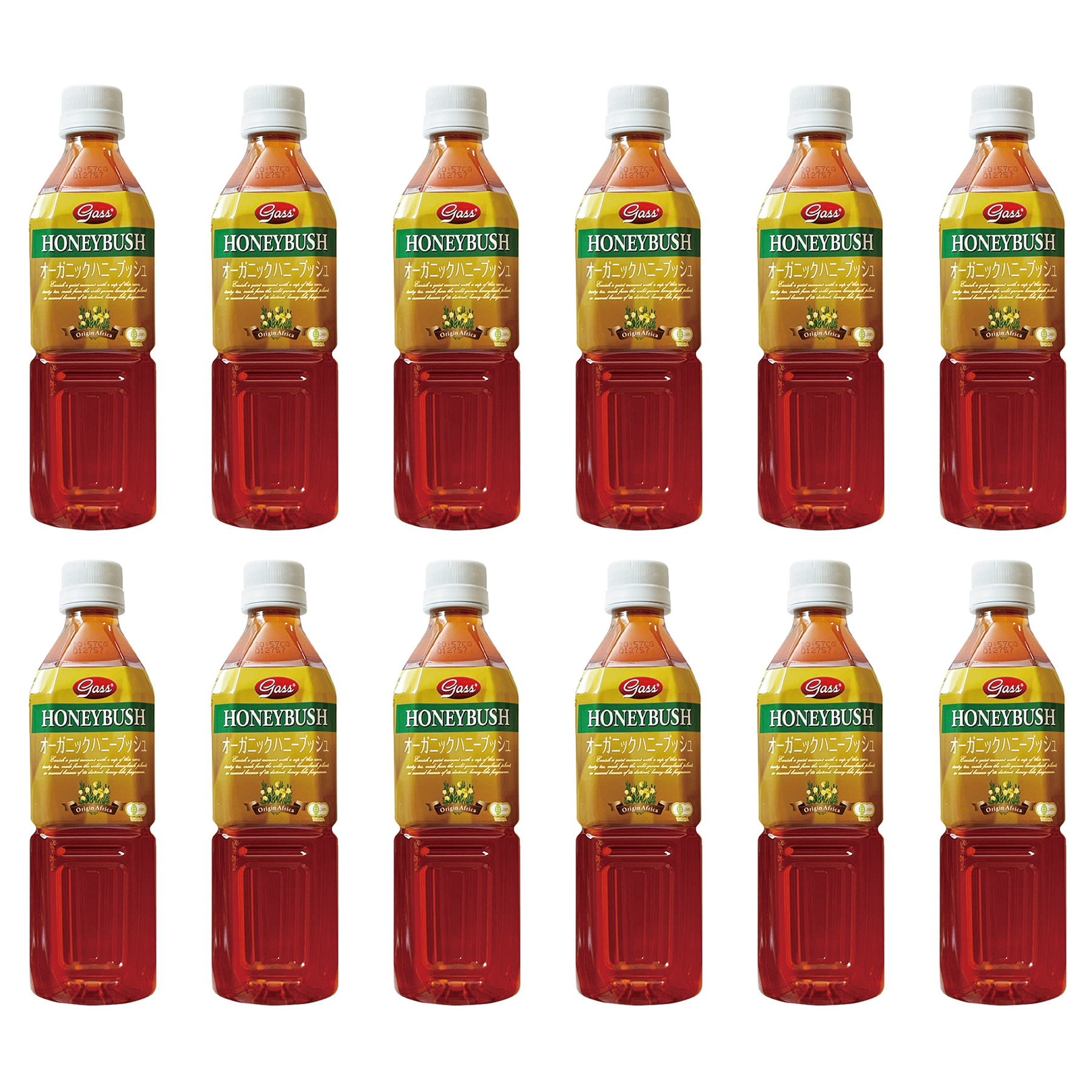オーガニック ハニーブッシュティー 500ml 12本 ガスコ 有機JAS認証 ノンカフェイン