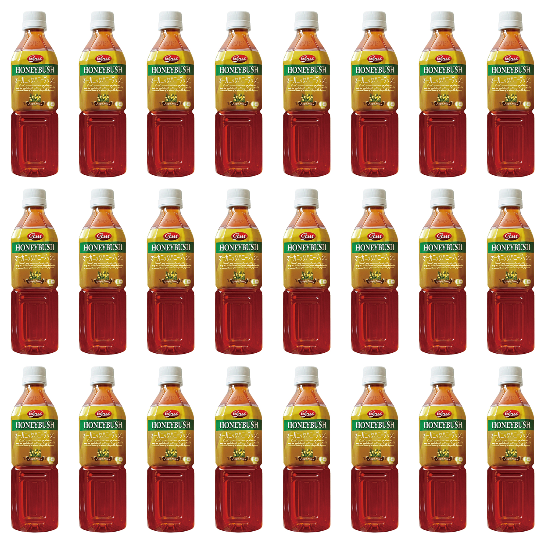 オーガニック ハニーブッシュティー 500ml 24本 ガスコ 有機JAS認証 ノンカフェイン