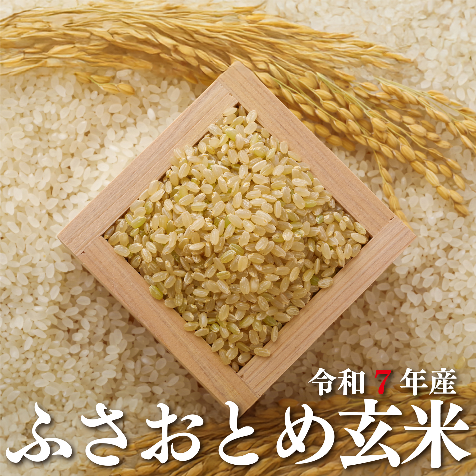 玄米 ふさおとめ 令和7年産 化学農薬・化学肥料不使用 千葉県産 発芽検査済