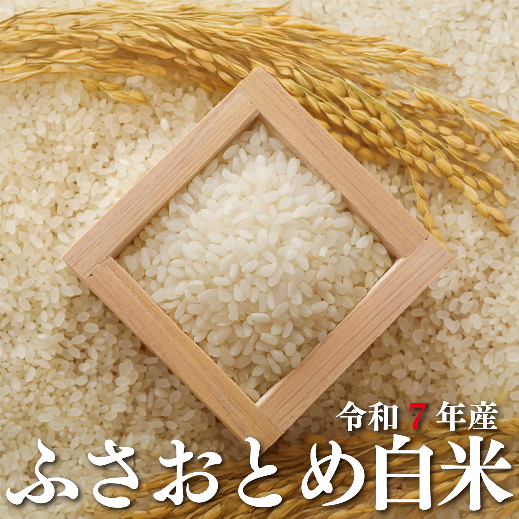 白米 ふさおとめ 令和7年産 化学農薬・化学肥料不使用 千葉県産 発芽検査済