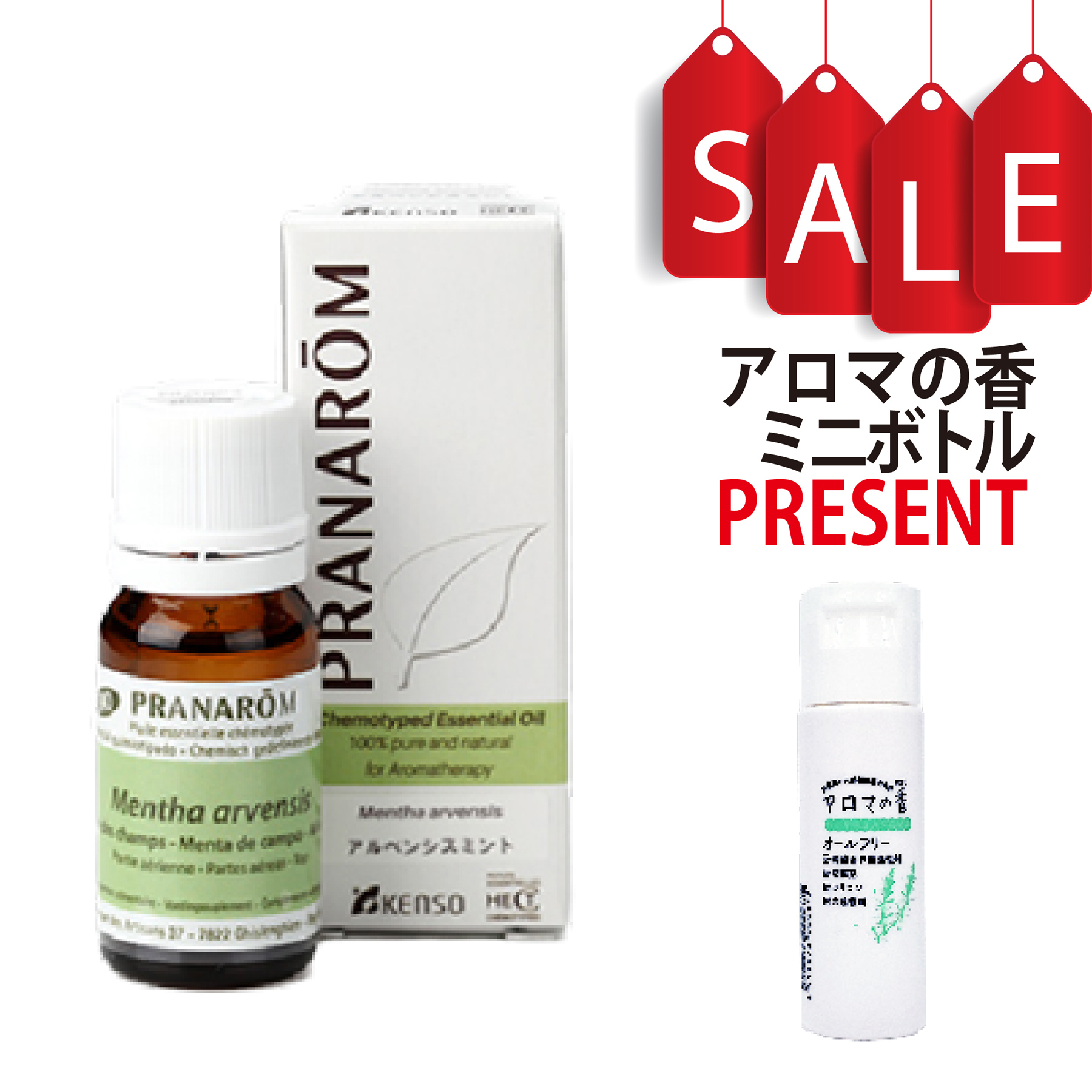 【今ならアロマの香ミニボトル＆精油マニュアル2大特典付】アルベンシスミント(MENTHA ARVENSIS) 10ml (約200滴) プラナロム ケモタイプ精油 エッセンシャルオイル PRANAROM