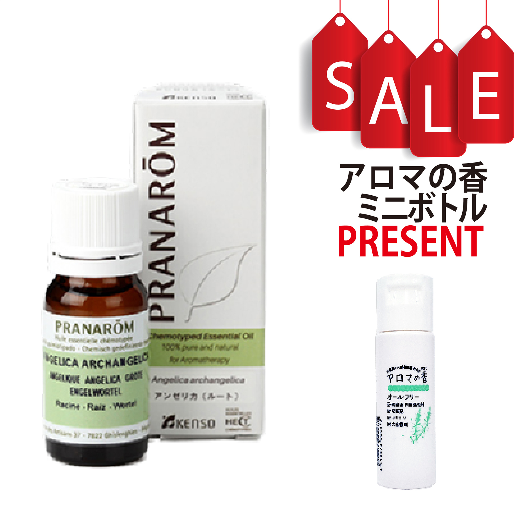 【今ならアロマの香ミニボトル＆精油マニュアル2大特典付】アンゼリカ(ルート)(ANGELICA ARCHANGELICA) 10ml (約200滴) プラナロム ケモタイプ精油 エッセンシャルオイル PRANAROM