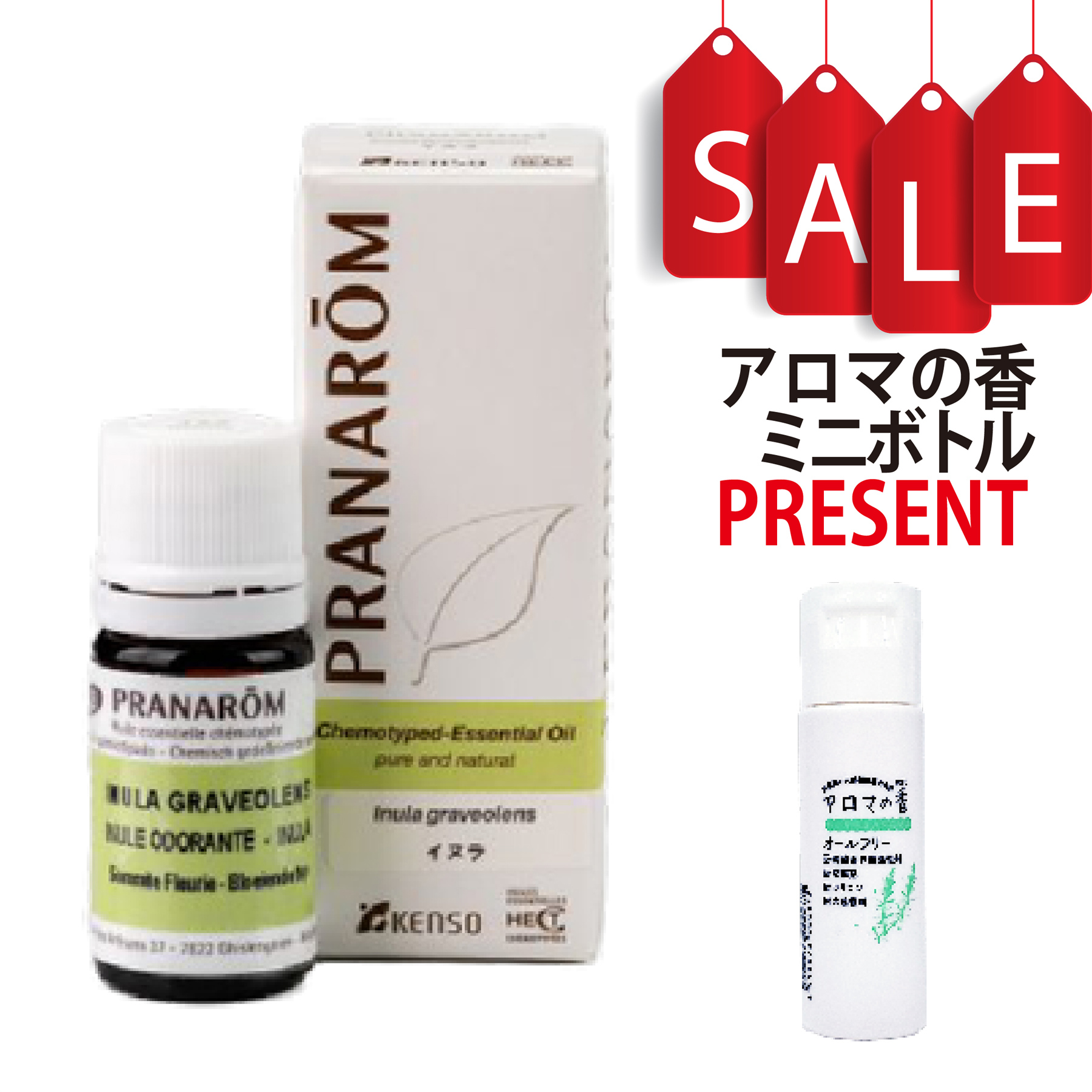 【今ならアロマの香ミニボトル＆精油マニュアル2大特典付】イヌラ(INULA GRAVEOLENS) 5ml (約100滴) プラナロム ケモタイプ精油 エッセンシャルオイル PRANAROM