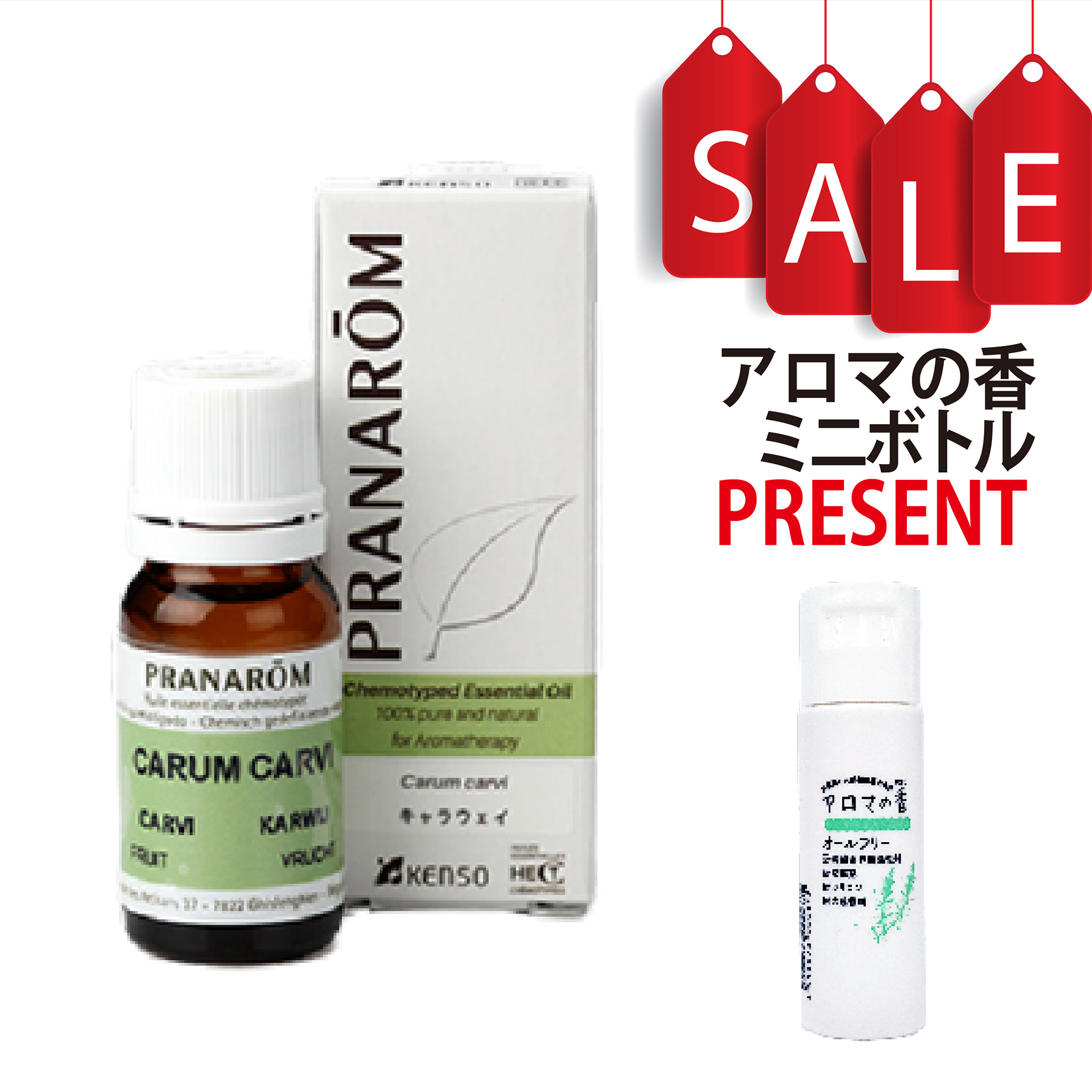 【今ならアロマの香ミニボトル＆精油マニュアル2大特典付】キャラウェイ(CARUM CARVI) 10ml (約200滴) プラナロム ケモタイプ精油 エッセンシャルオイル PRANAROM