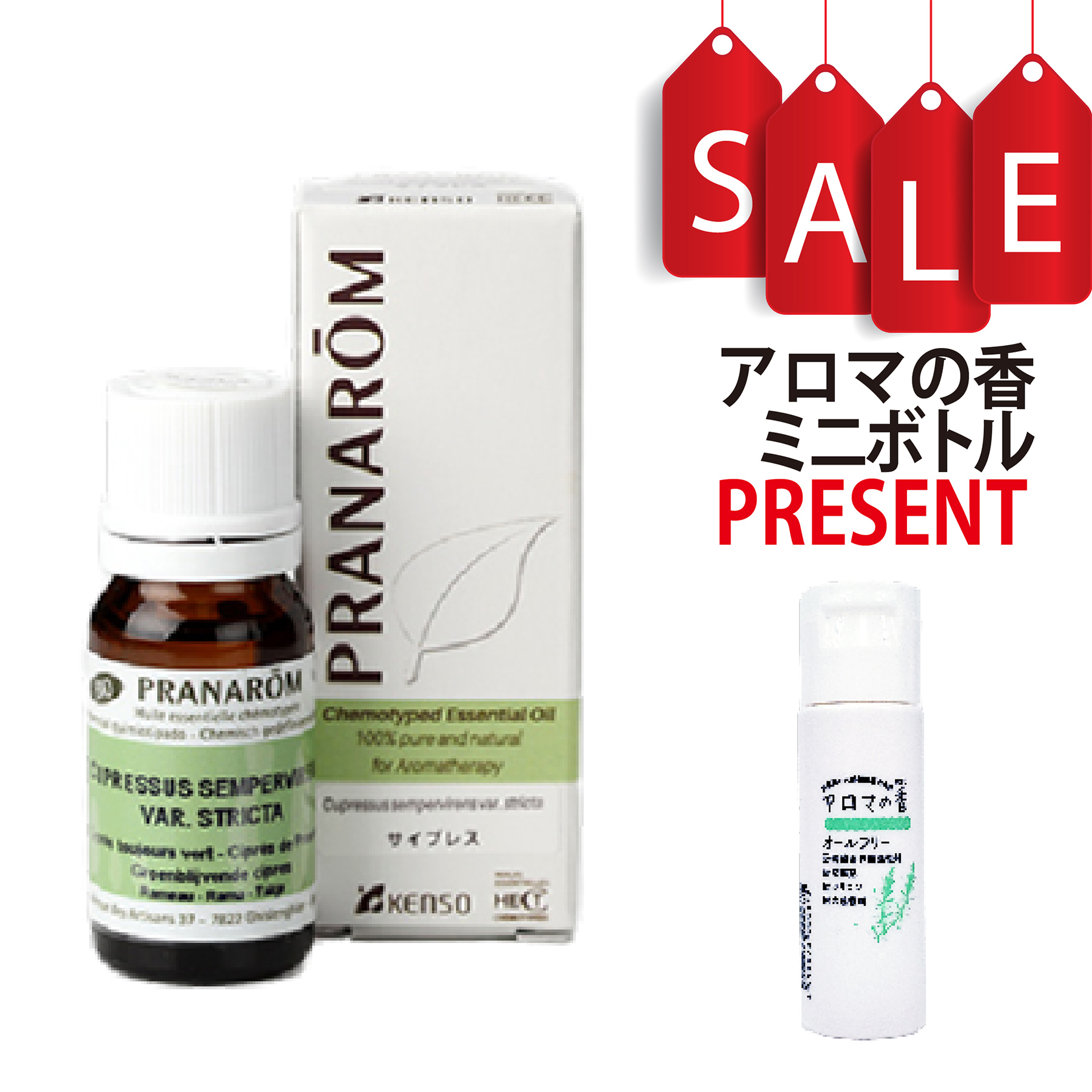 【今ならアロマの香ミニボトル＆精油マニュアル2大特典付】サイプレス(CURPESSUS SEMPERVIRENS) 10ml (約200滴) プラナロム ケモタイプ精油 エッセンシャルオイル PRANAROM