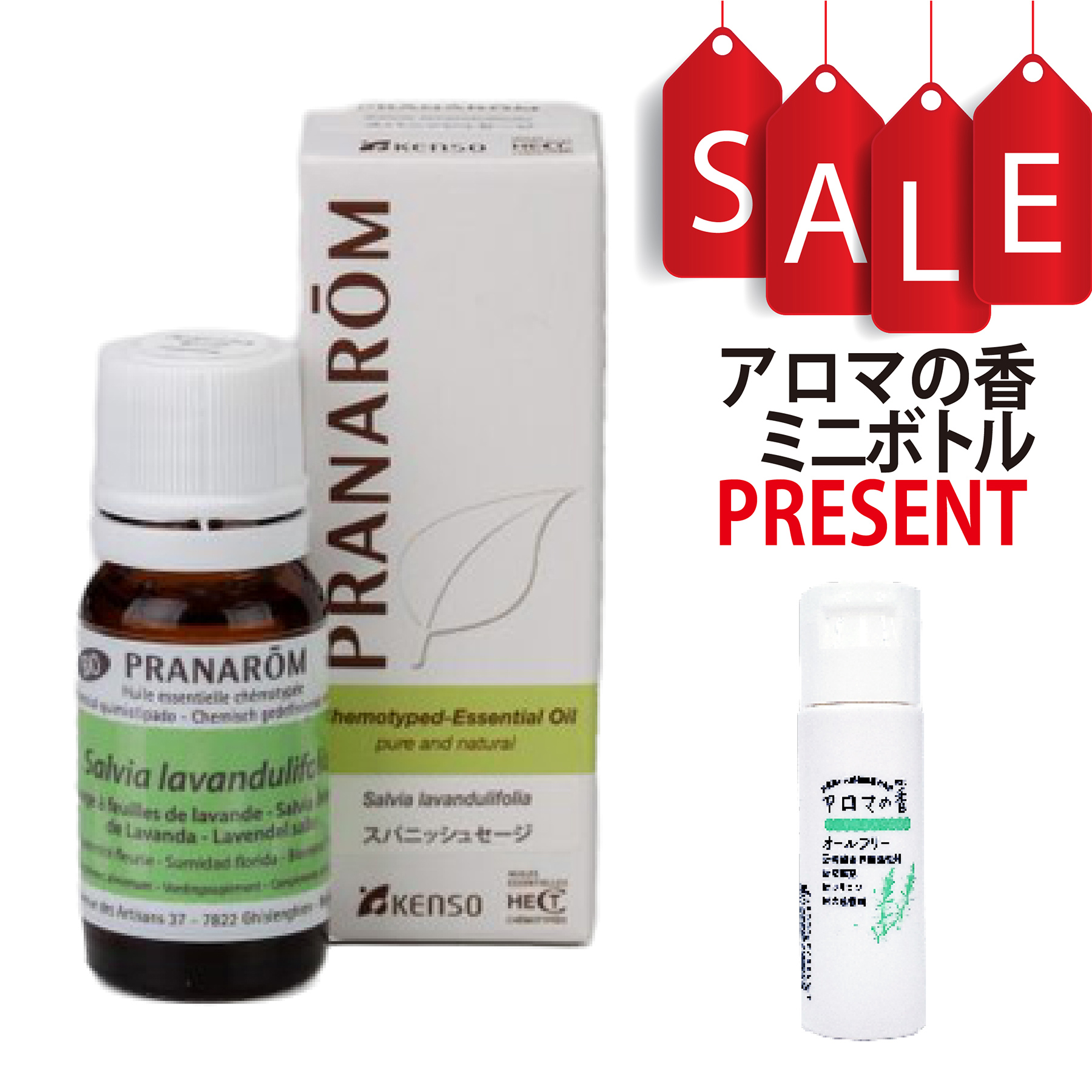 【今ならアロマの香ミニボトル＆精油マニュアル2大特典付】スパニッシュセージ(SALVIA LAVANDULIFOLIA) 10ml (約200滴) プラナロム ケモタイプ精油 エッセンシャルオイル PRANAROM