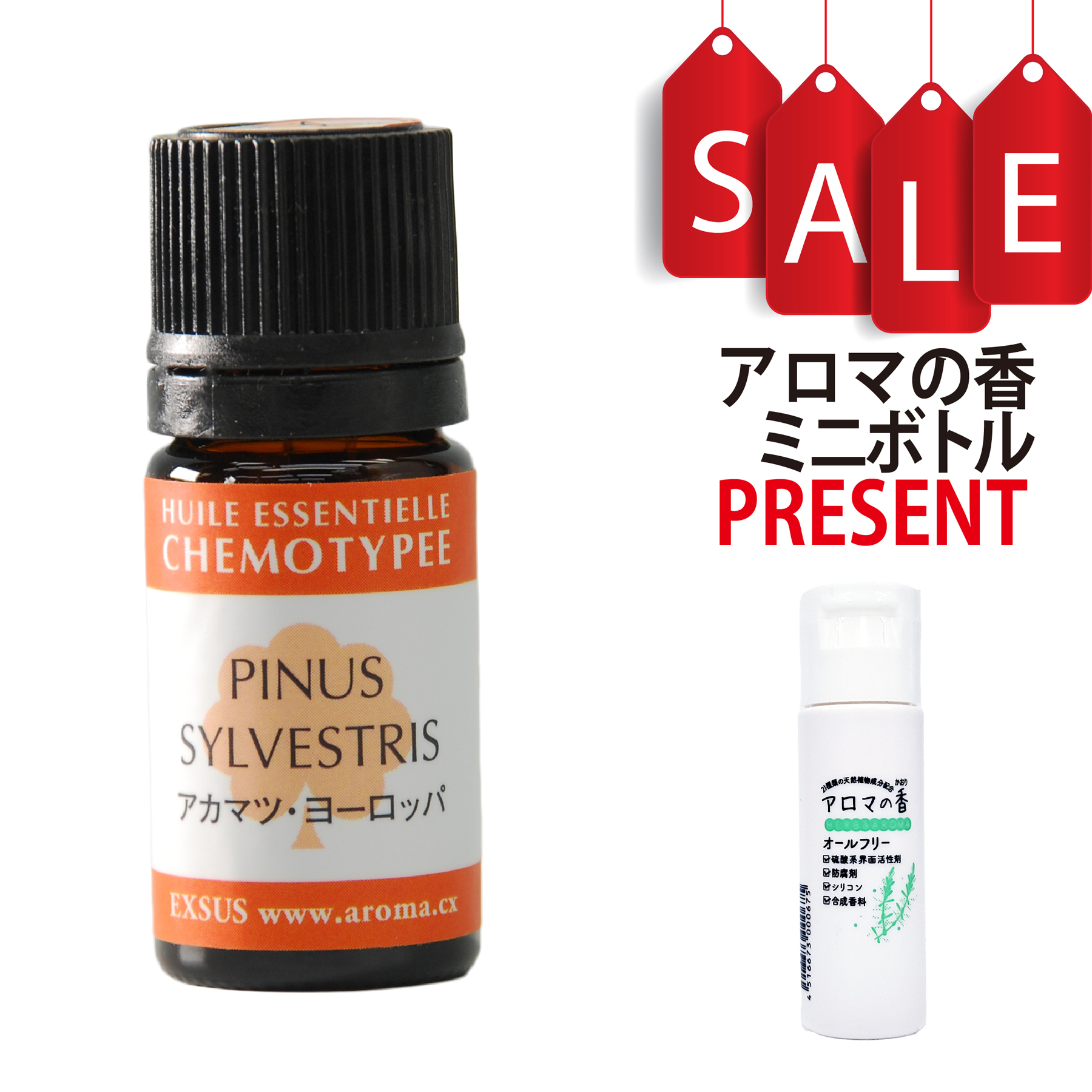 【今ならアロマの香ミニボトル特典付】アカマツ・ヨーロッパ 5ml (約100滴) ケモタイプ精油 エッセンシャルオイル