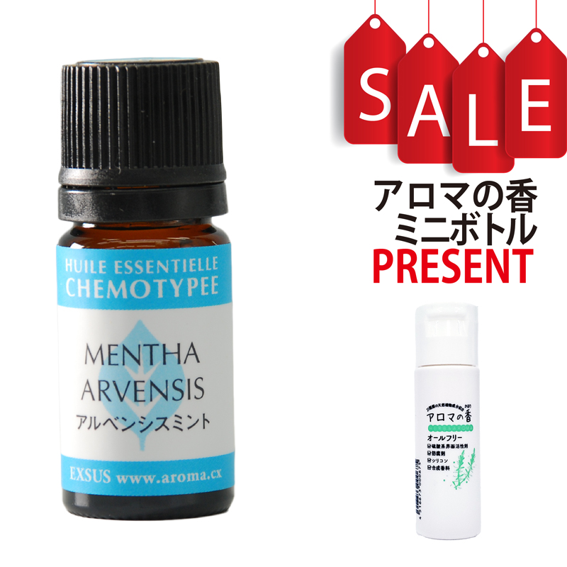 【今ならアロマの香ミニボトル特典付】アルベンシスミント 5ml (約100滴) ケモタイプ精油 エッセンシャルオイル