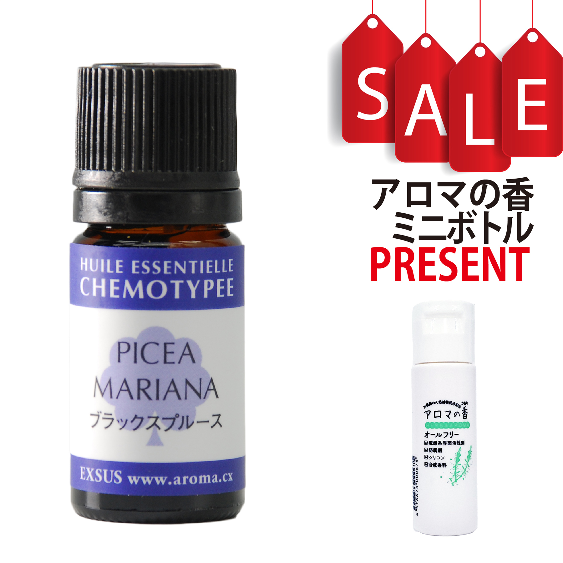 【今ならアロマの香ミニボトル特典付】ブラックスプルース 5ml (約100滴) ケモタイプ精油 エッセンシャルオイル