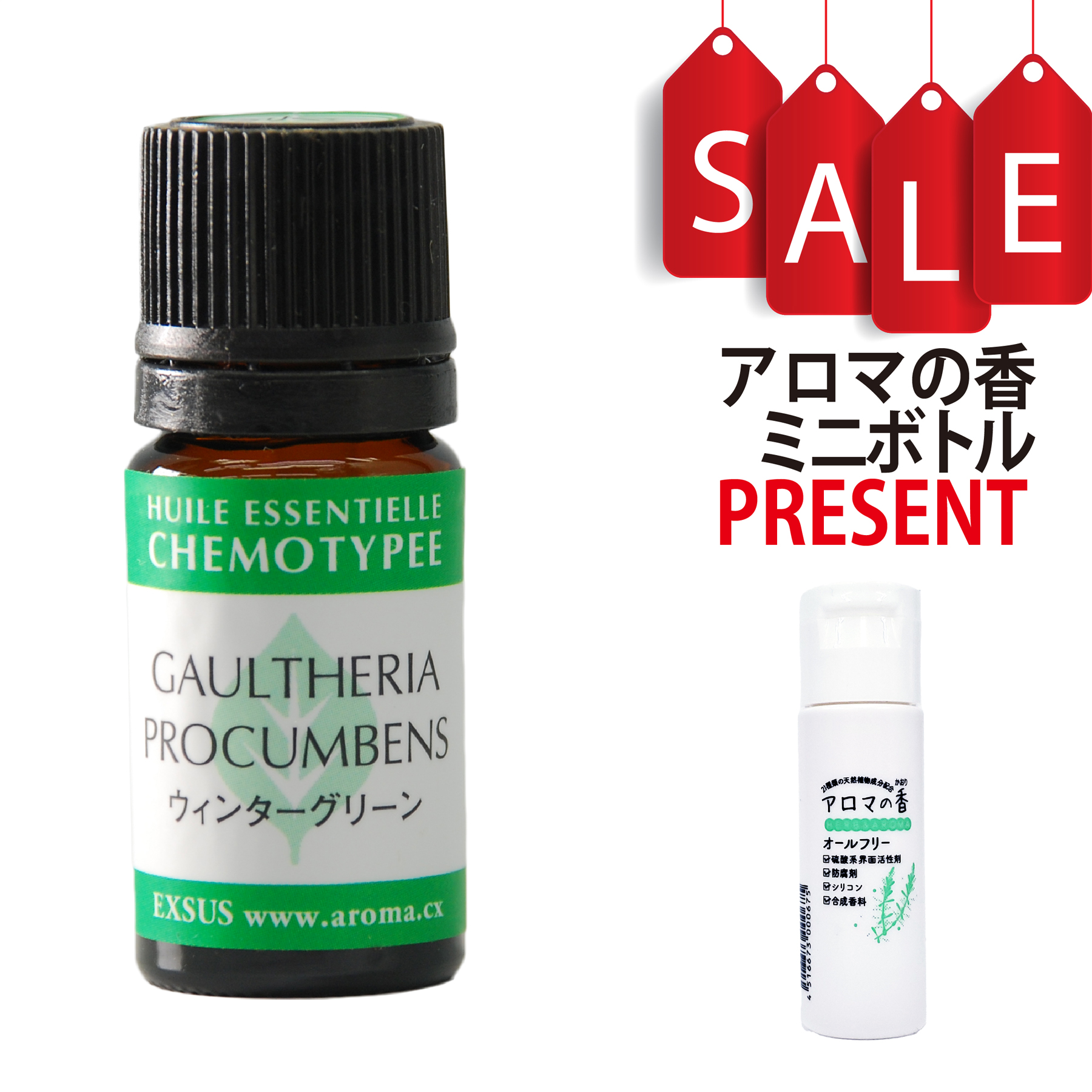 【今ならアロマの香ミニボトル特典付】ウィンターグリーン 5ml (約100滴) ケモタイプ精油 エッセンシャルオイル