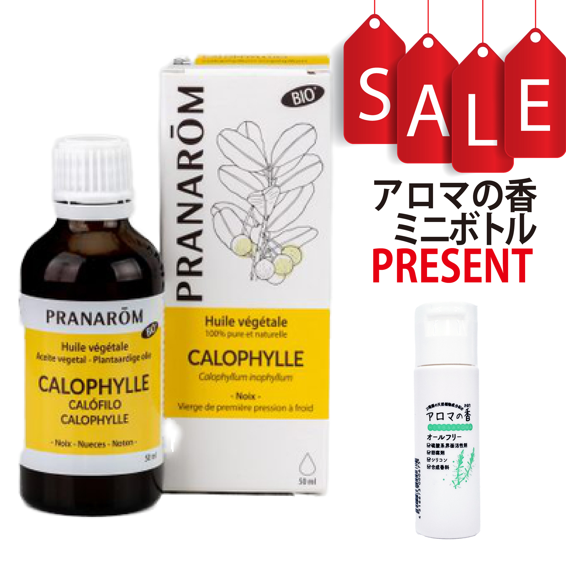 【今ならアロマの香ミニボトル＆精油マニュアル2大特典付】カロフィラム キャリアオイル(化粧用油) 50ml プラナロム 植物油 PRANAROM
