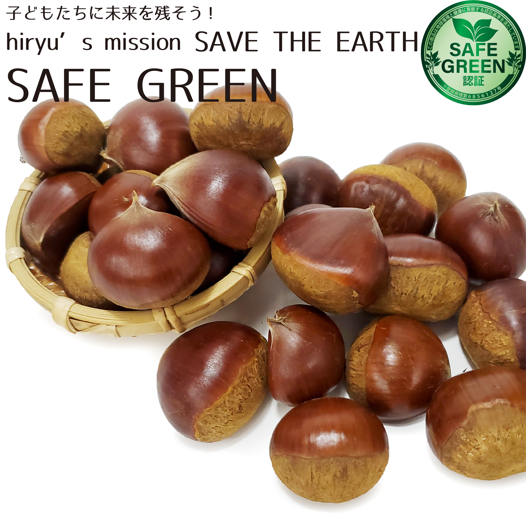 栗 500g 農薬・肥料不使用栽培 千葉県産 村越農場