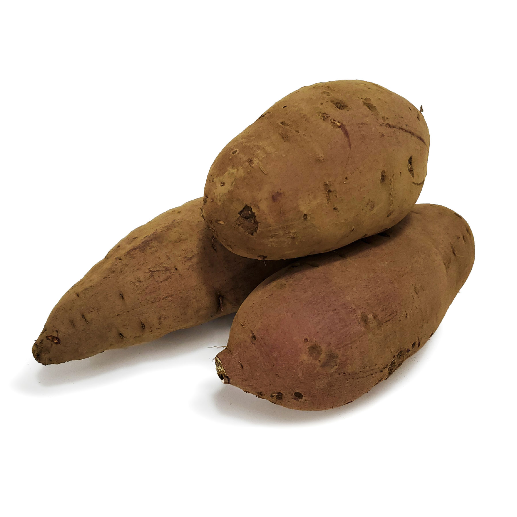 サツマイモ 紅はるか 化学農薬・化学肥料不使用 千葉県産