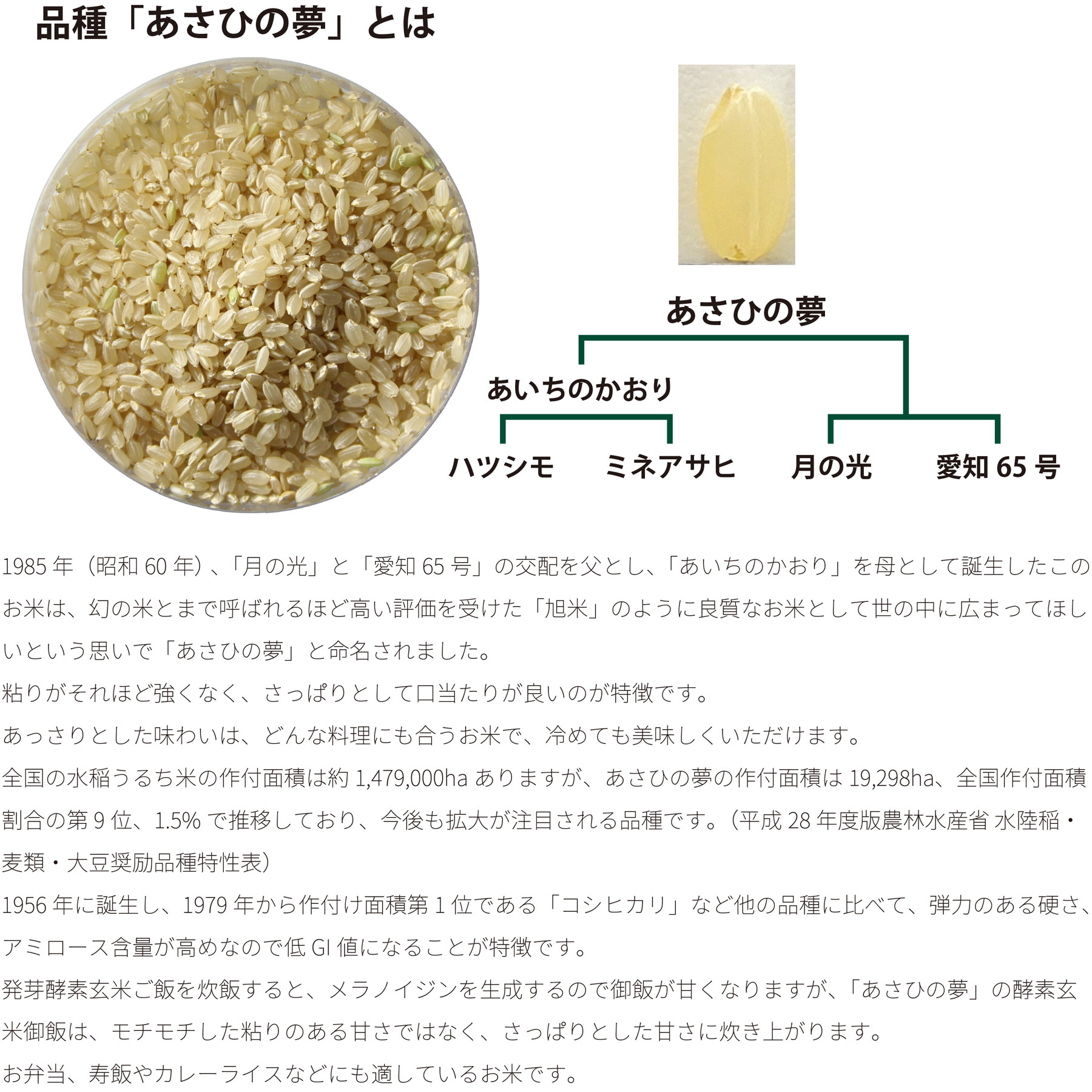 【新米】EM農法の玄米 あさひの夢 令和6年産 化学農薬・化学肥料不使用 群馬県産