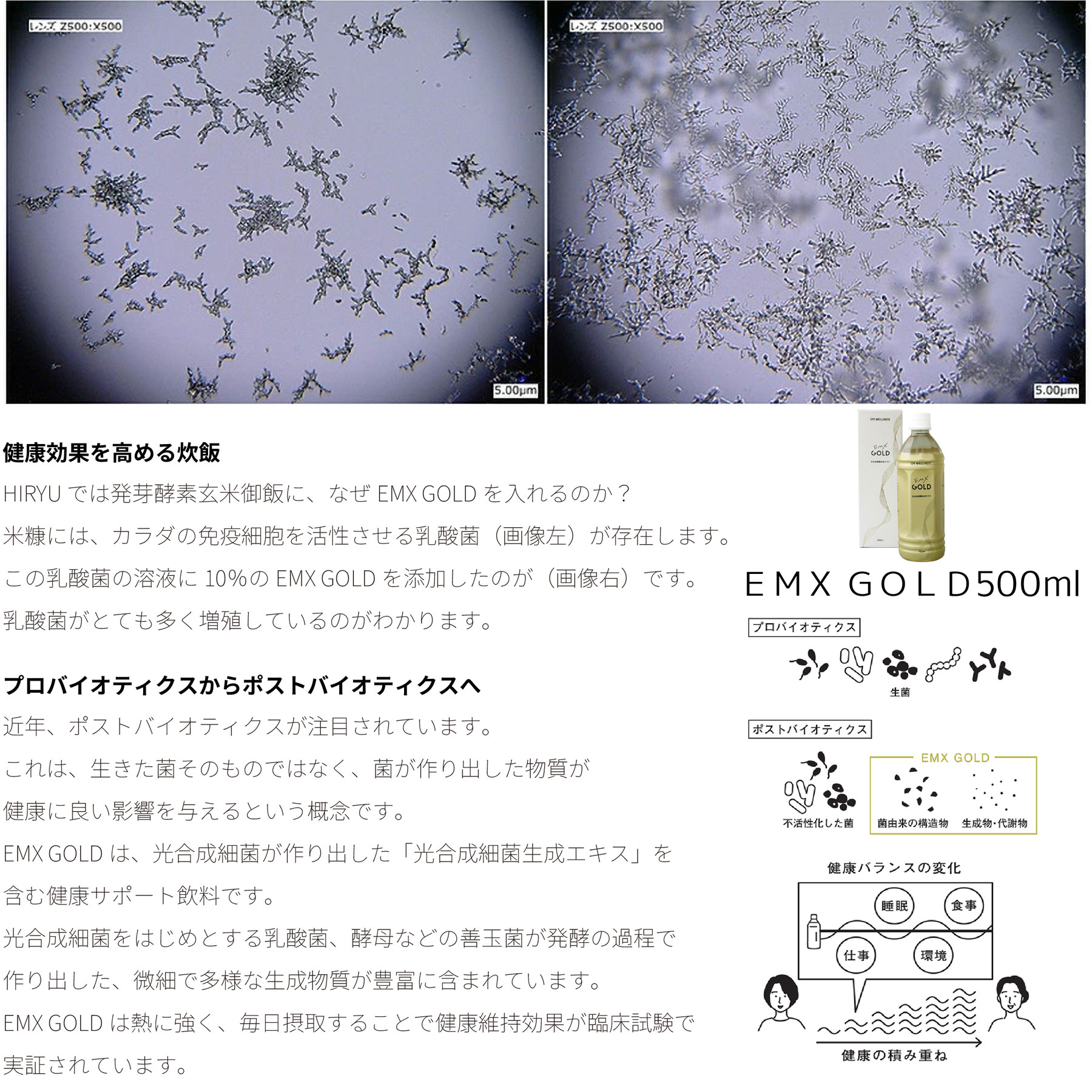 新米】EM農法の玄米 あさひの夢 令和6年産 化学農薬・化学肥料不使用 群馬県産 / 地球環境と健康を考える HIRYU