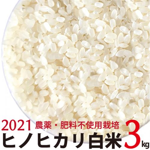 ヒノヒカリ 白米 3kg 令和3年産　農薬・肥料不使用　香川県産