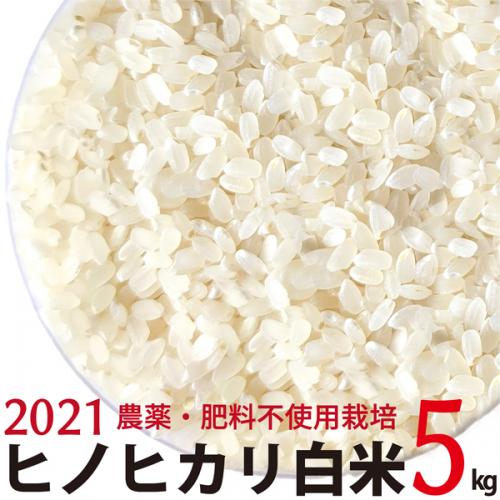 ヒノヒカリ 白米 5kg 令和3年産　農薬・肥料不使用　香川県産