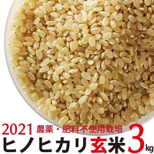 ヒノヒカリ 玄米 3kg  令和3年産　農薬・肥料不使用　香川県産