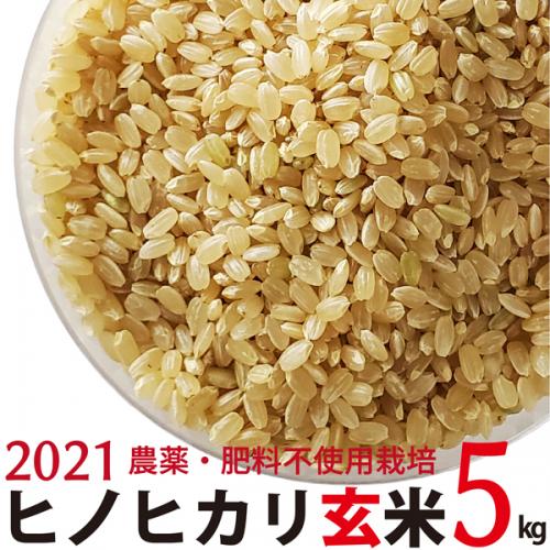 ヒノヒカリ 玄米 5kg 令和3年産　農薬・肥料不使用　香川県産