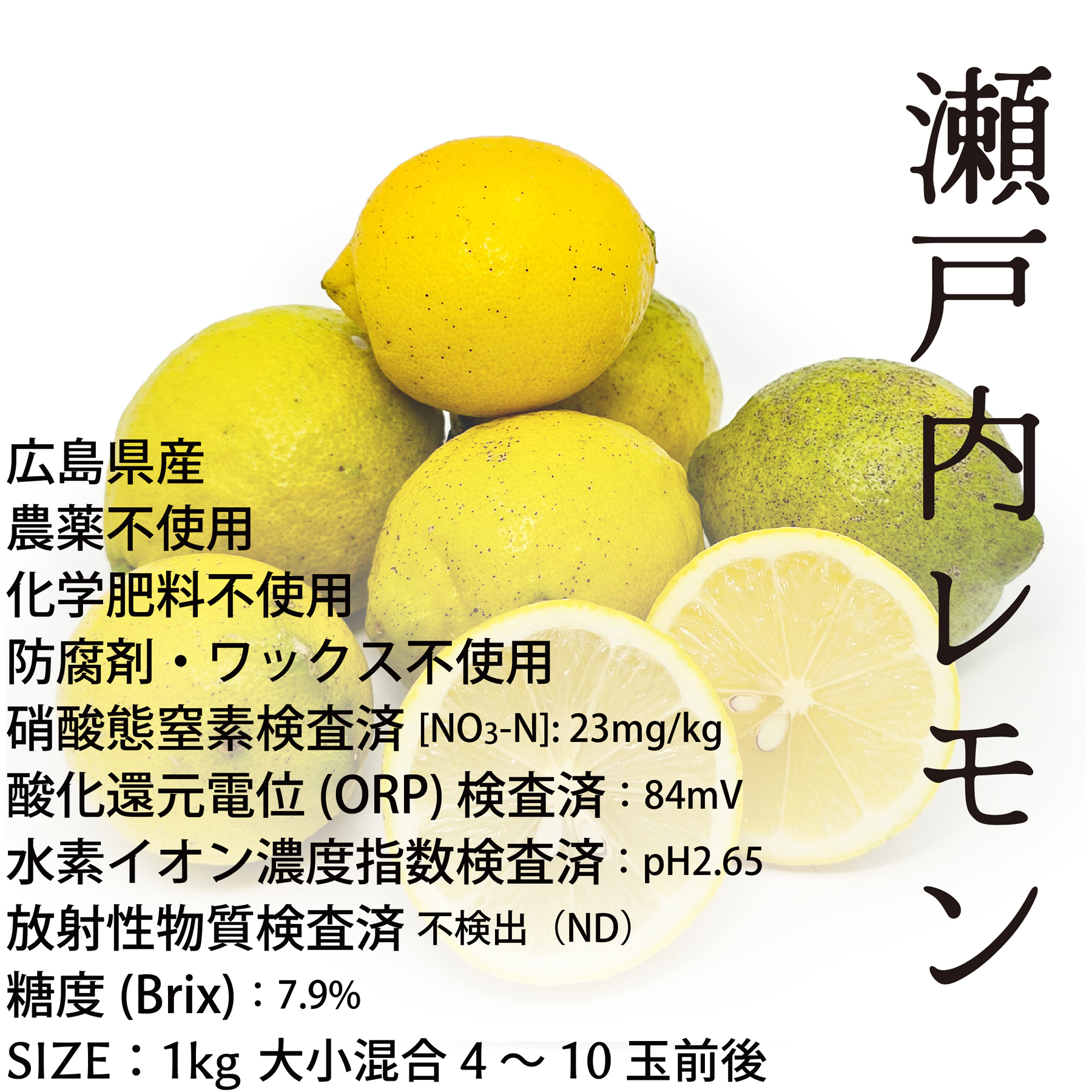 瀬戸内レモン 農薬・化学肥料不使用栽培　広島県産