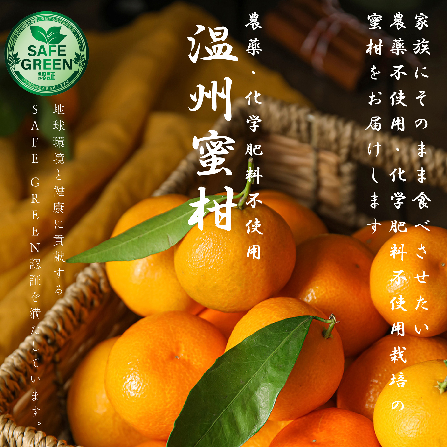 【今なら10％OFF】 瀬戸内みかん ギフト用 贈答用 農薬・化学肥料不使用 広島県産 温州ミカン /小箱・大箱をお選びください